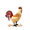 Coq
